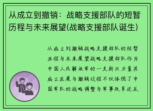 从成立到撤销：战略支援部队的短暂历程与未来展望(战略支援部队诞生)