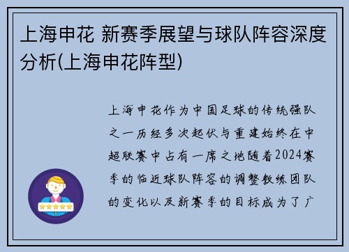 上海申花 新赛季展望与球队阵容深度分析(上海申花阵型)