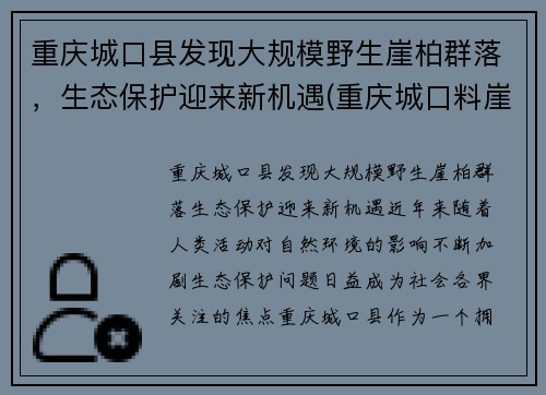 重庆城口县发现大规模野生崖柏群落，生态保护迎来新机遇(重庆城口料崖柏)