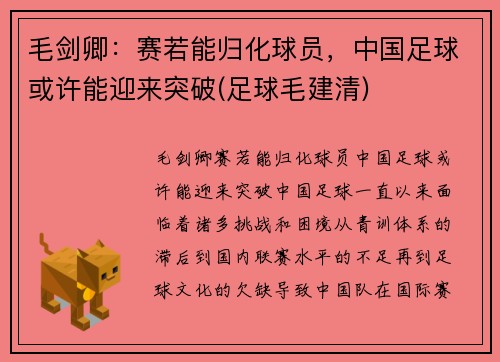 毛剑卿:赛若能归化球员,中国足球或许能迎来突破(足球毛建清)
